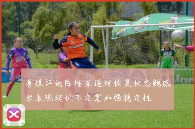 鲁媒评论陈培东逐渐恢复状态鲍威尔表现起伏不定需加强稳定性