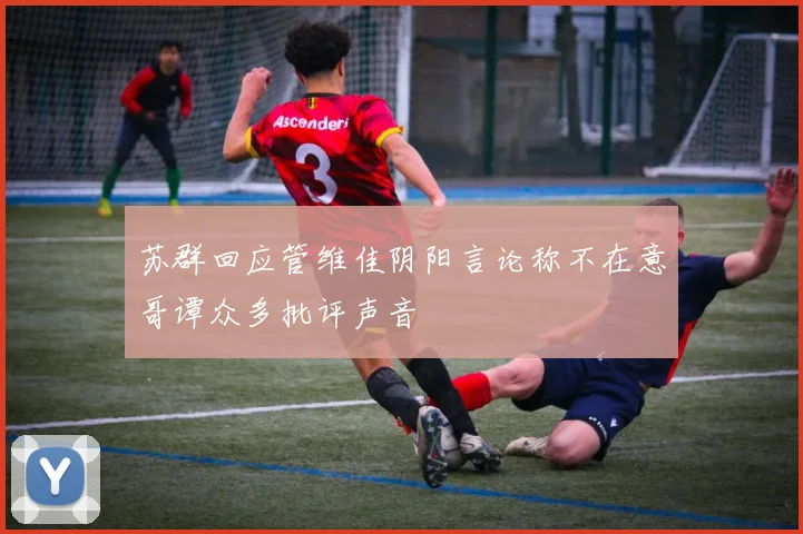 苏群回应管维佳阴阳言论称不在意哥谭众多批评声音