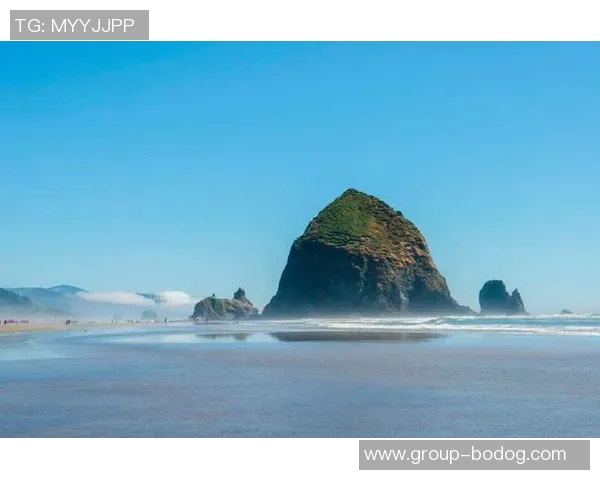 西雅图洪水创26年新高波特兰地区紧急应对预警已发布